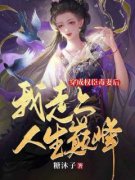 私藏读物《穿成权臣毒妻后，我走