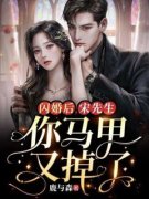 闪婚后，宋先生你马甲又掉了知乎