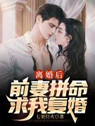 离婚后，前妻拼命求我复婚（徐炎