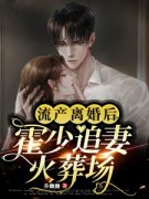 老书虫力荐《流产离婚后，霍少追