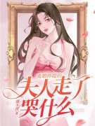 主人公叫夏恩星陆沧夜的小说离婚