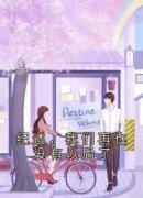 纪述，我们再也没有以后了小说主