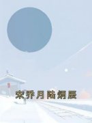 宋乔月陆炳辰抖音全本小说宋乔月