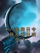 《十八金牌召令？我反手召唤岳飞
