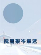 新上《阮雪梨岑聿迟》佚名小说免