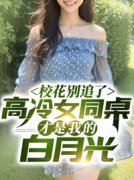 主角是林舟许念初的小说校花别追
