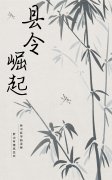 《县令崛起》小说章节列表免费试