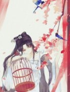 名动京城战王非我不娶在哪免费看