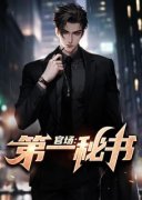 官场：第一秘书在哪免费看，纪少