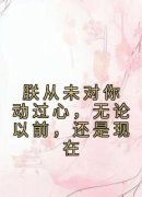 齐珞锦姜佑小说朕从未对你动过心