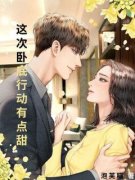 小说这次卧底行动有点甜主角为季