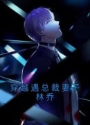 穿越遇总裁妻子林乔[抖音]小说-陆