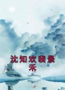 沈知欢裴景禾全本小说（沈知欢裴