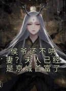 《侯爷还不哄妻？夫人已经是京城