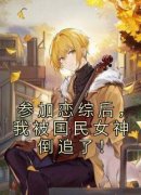 主人公苏衡王诗菡在线免费试读《