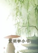 贺玥宁如颂是哪部小说的主角 贺玥