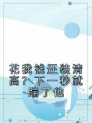 《琪琪陆思宇》主角小说花我钱还