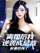 离婚后我逆袭成总裁，前妻后悔了