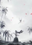 无数个纪元以后，秦白衣成为了众