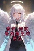 或许,你就是我重生的意义小说-或许