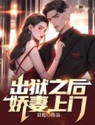 爆款小说出狱之后，娇妻上门-主角