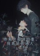 李锋沐沧澜小说(绝美总裁请自重，
