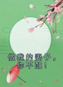 做我的妻子，你不配！(白芷谢长舟