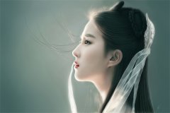 小说《我的极品老婆》在线全文阅