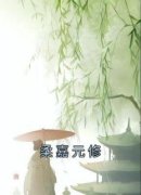 柔嘉元修全集小说_柔嘉萧元昭完结