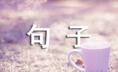 经典qq空间情感句子78句