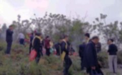 小学生扫墓日记