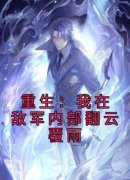 《重生：我在敌军内部翻云覆雨》