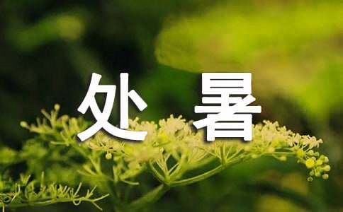 处暑发朋友圈说说