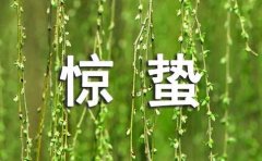 今日惊蛰优美文案大全