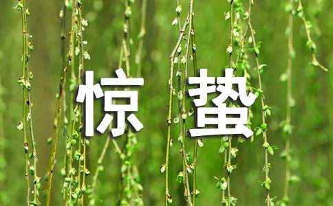 今日惊蛰优美文案大全