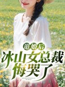 全章节小说退婚后冰山女总裁悔哭