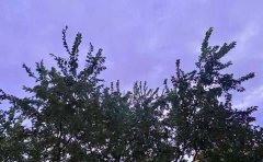 【必备】适合早上发的早安问候语