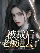 （好书推荐）被裁后，老板进去了