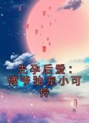 桑诺傅斯言小说先孕后爱：傅爷独