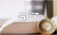 关于美文句子