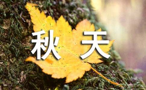 描写秋天的唯美句子