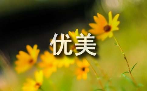 描写冬雨的优美句子合集7篇