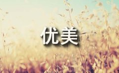 优美句子摘抄常用（15篇）