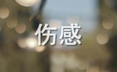 通用伤感个性句子锦集56句