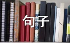描写中国的句子