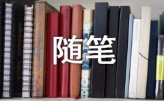 雨夜听雨心情随笔