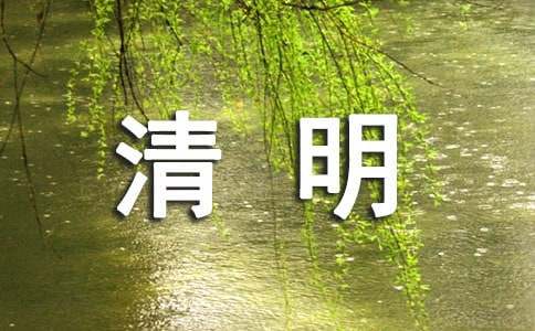 最新唯美清明视频文案