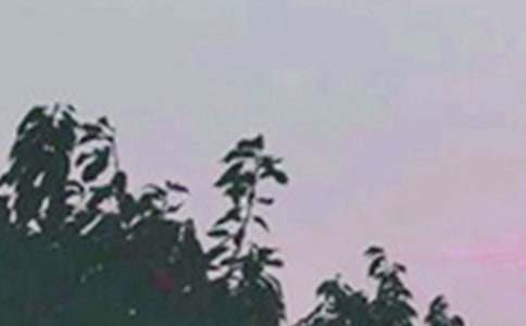 早安祝福语120句