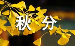 秋分的优美短句（精选250句）