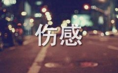 【实用】2024年伤感个性句子摘录